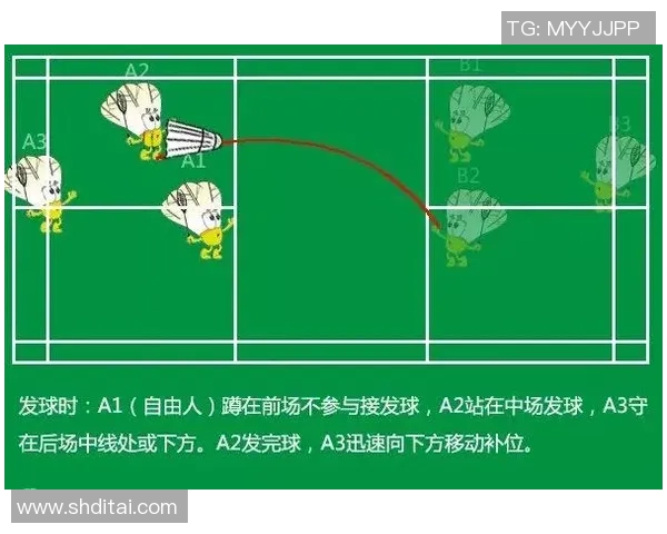 北京羽毛球队区域防守策略解析与战术应用探讨