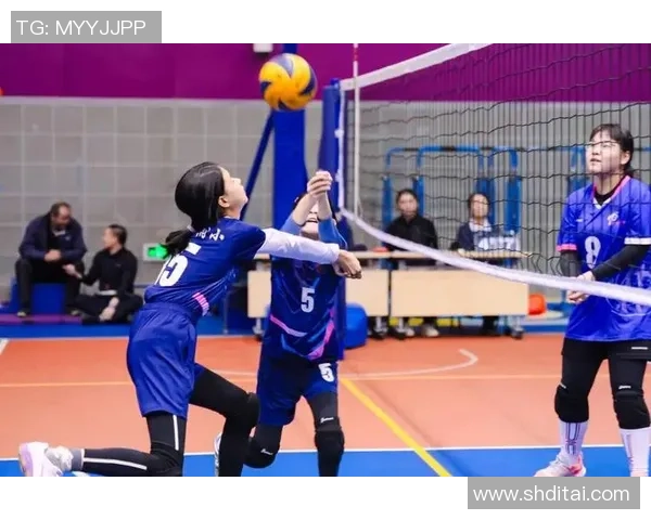 排球团队协作实力评比北京排球队荣获第九名佳绩