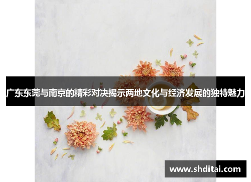 广东东莞与南京的精彩对决揭示两地文化与经济发展的独特魅力