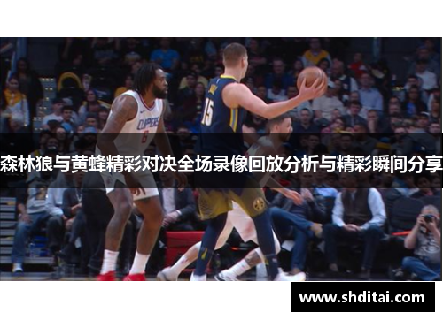 森林狼与黄蜂精彩对决全场录像回放分析与精彩瞬间分享